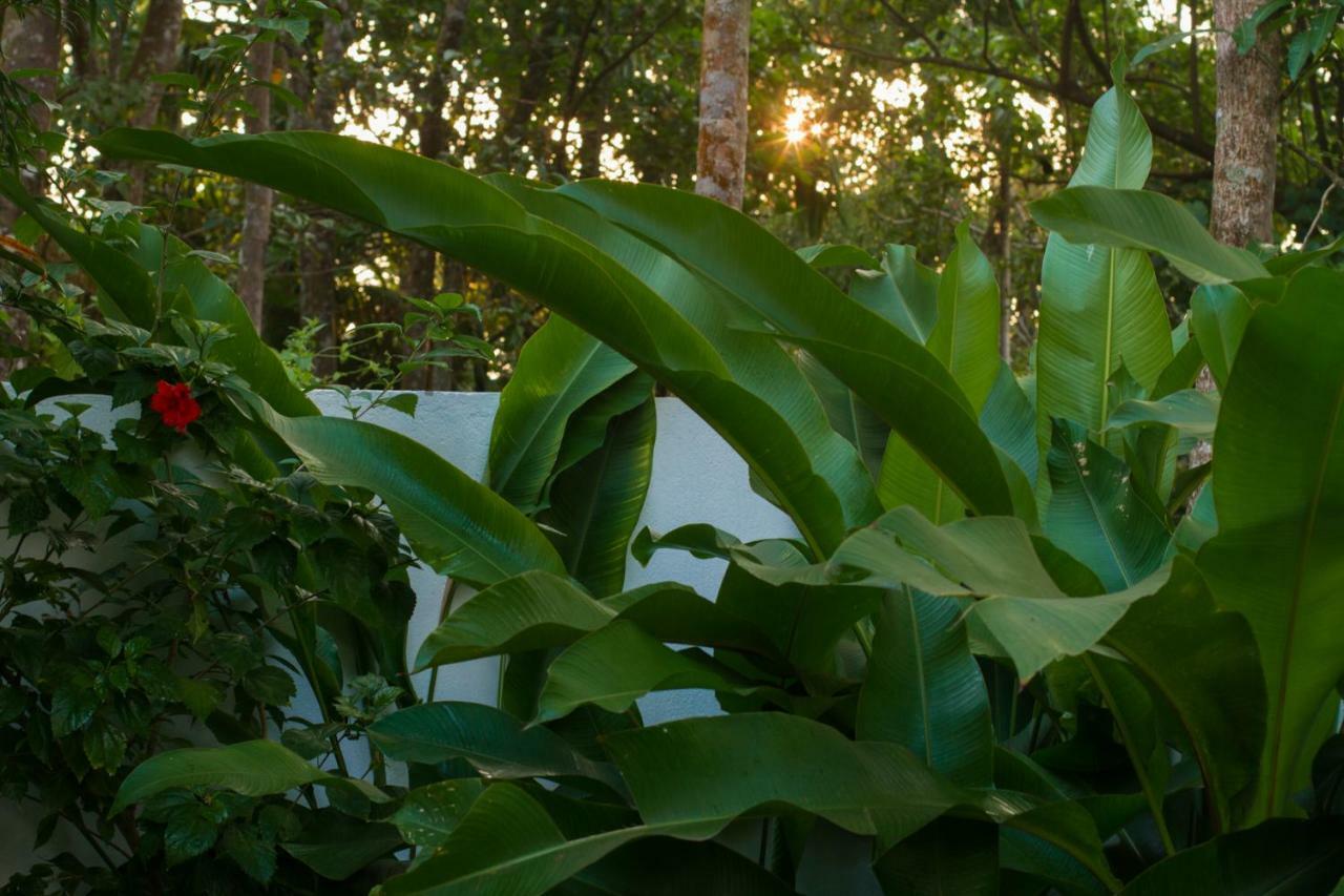 Villa Mia Mararikulam Εξωτερικό φωτογραφία
